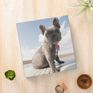 Cutest Baby Animals French Bulldog Boating Binder