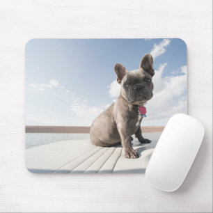 Cutest Baby Animals   French Bulldog Boating Mouse Pad