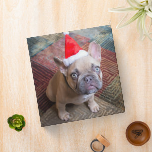 Cutest Baby Animals French Bulldog Christmas Binder