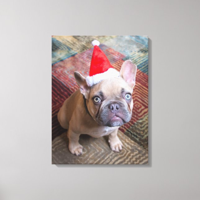 Cutest Baby Animals | French Bulldog Christmas Canvas Print (Front)