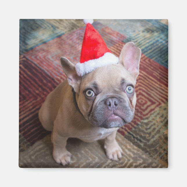 Cutest Baby Animals | French Bulldog Christmas Magnet (Front)