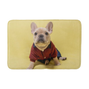 Cutest Baby Animals   French Bulldog Dressed Bath Mat