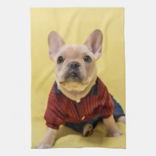Cutest Baby Animals French Bulldog Dressed Kitchen Towel