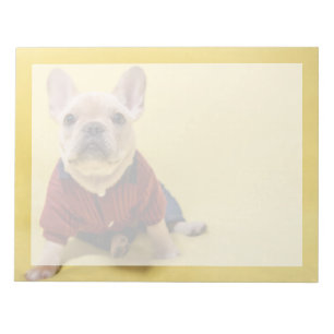 Cutest Baby Animals   French Bulldog Dressed Notepad