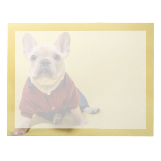 Cutest Baby Animals | French Bulldog Dressed Notepad (Front)