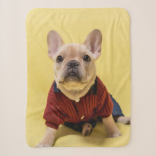 Cutest Baby Animals French Bulldog Dressed Sherpa Blanket