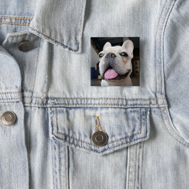 Cutest Baby Animals | French Bulldog Face 2 Inch Square Button (In Situ)