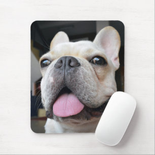 Cutest Baby Animals   French Bulldog Face Mouse Pad