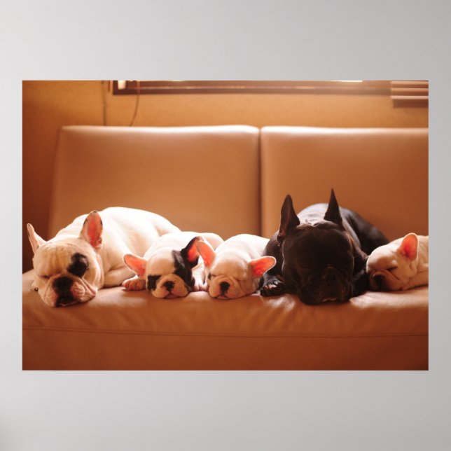 Cutest Baby Animals | French Bulldog Family Poster (Front)