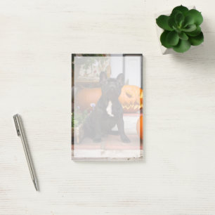 Cutest Baby Animals   French Bulldog Halloween Post-it Notes