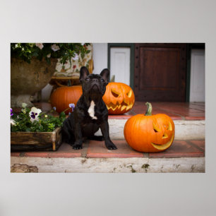 Cutest Baby Animals French Bulldog Halloween Poster