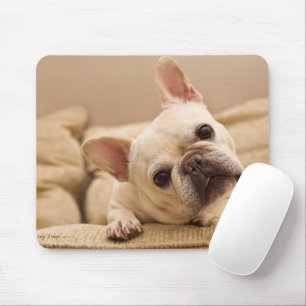 Cutest Baby Animals   French Bulldog Head Tilt Mouse Pad