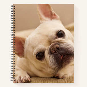 Cutest Baby Animals French Bulldog Head Tilt Notebook