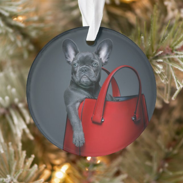 Cutest Baby Animals | French Bulldog in Handbag Ornament (Tree)