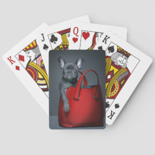 Cutest Baby Animals French Bulldog in Handbag Playing Cards