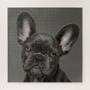Cutest Baby Animals   French Bulldog Jigsaw Puzzle