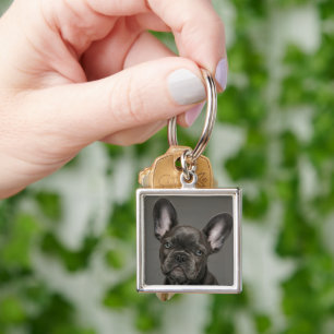 Cutest Baby Animals French Bulldog Keychain