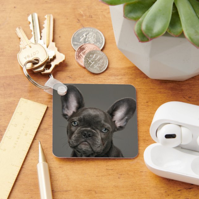 Cutest Baby Animals | French Bulldog Keychain (Desk)