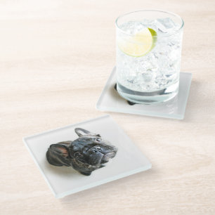 Cutest Baby Animals   French Bulldog Look Up Glass Coaster
