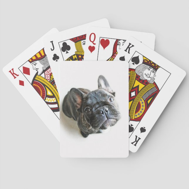 Cutest Baby Animals | French Bulldog Look Up Playing Cards (Back)
