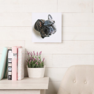 Cutest Baby Animals   French Bulldog Look Up Square Wall Clock