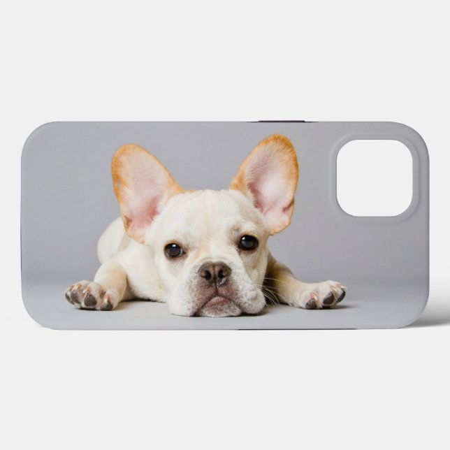 Cutest Baby Animals | French Bulldog Lying Down Case-Mate iPhone Case (Back (Horizontal))