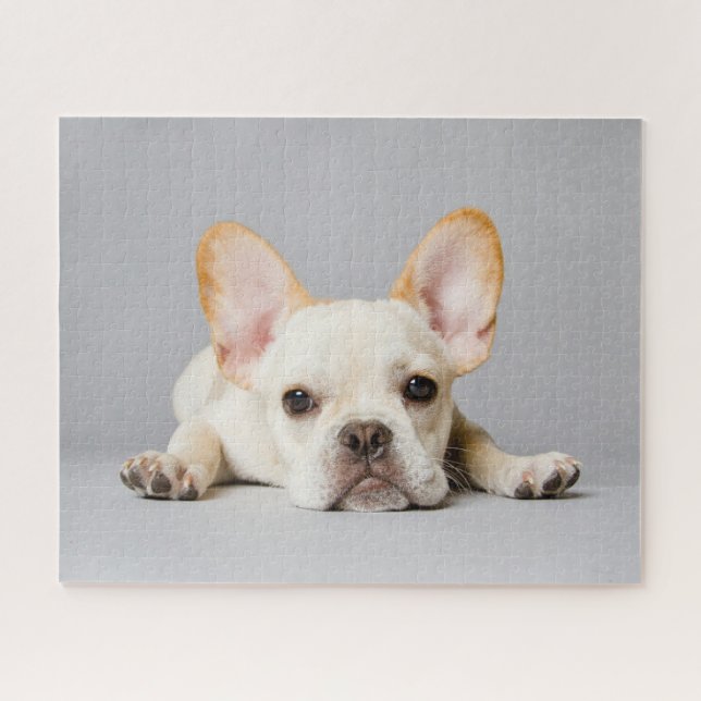 Cutest Baby Animals | French Bulldog Lying Down Jigsaw Puzzle (Horizontal)