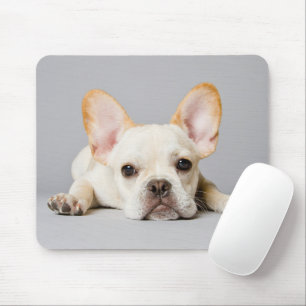 Cutest Baby Animals   French Bulldog Lying Down Mouse Pad