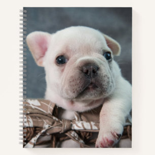 Cutest Baby Animals   French Bulldog Notebook