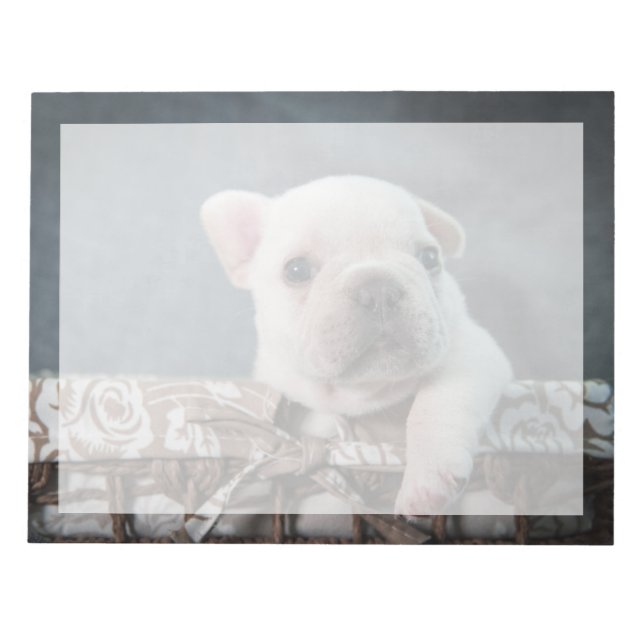 Cutest Baby Animals | French Bulldog Notepad (Front)