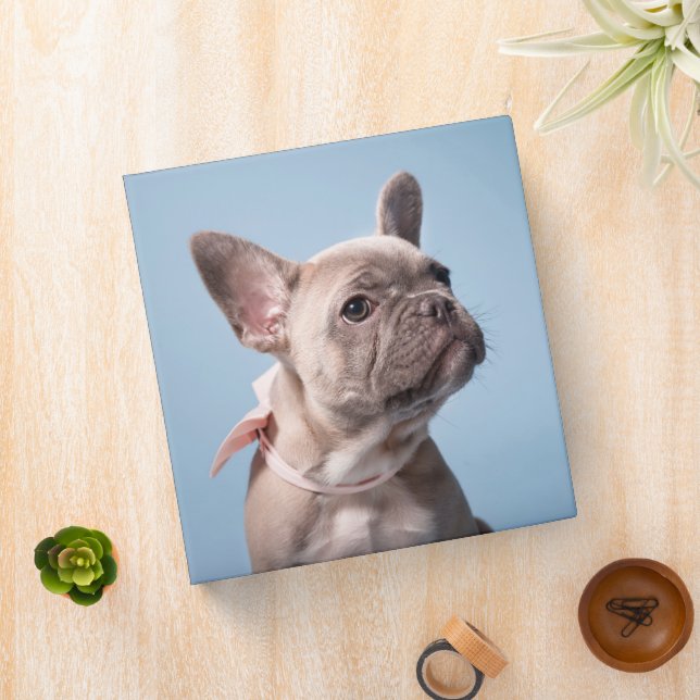 Cutest Baby Animals | French Bulldog Pink Bow Binder (In Situ)