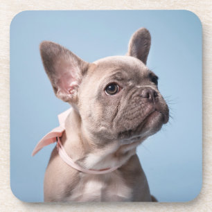 Cutest Baby Animals   French Bulldog Pink Bow Coaster