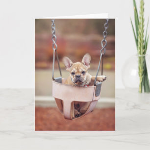 Cutest Baby Animals French Bulldog Playground Card