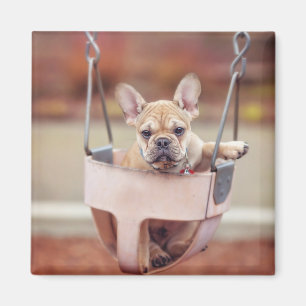Cutest Baby Animals French Bulldog Playground Magnet
