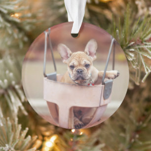 Cutest Baby Animals   French Bulldog Playground Ornament