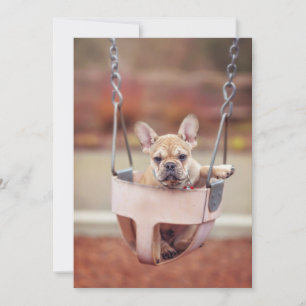 Cutest Baby Animals   French Bulldog Playground Thank You Card