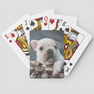 Cutest Baby Animals   French Bulldog Playing Cards
