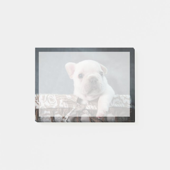 Cutest Baby Animals | French Bulldog Post-it Notes (Front)