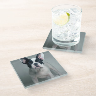 Cutest Baby Animals   French Bulldog Puppy Glass Coaster