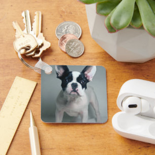 Cutest Baby Animals French Bulldog Puppy Keychain
