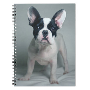 Cutest Baby Animals French Bulldog Puppy Notebook