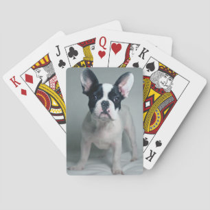Cutest Baby Animals French Bulldog Puppy Playing Cards