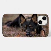 Cutest Baby Animals | German Shepherd Puppy