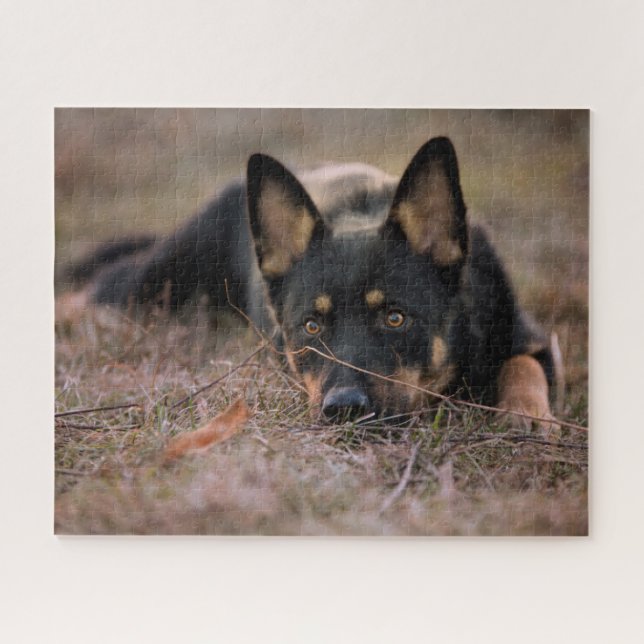 Cutest Baby Animals | German Shepherd Puppy Jigsaw Puzzle (Horizontal)