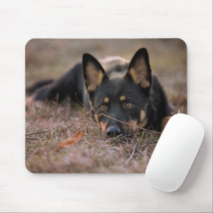 Cutest Baby Animals   German Shepherd Puppy Mouse Pad