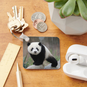 Cutest Baby Animals   Giant Panda Baby Keychain