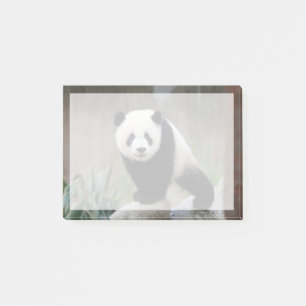 Cutest Baby Animals   Giant Panda Baby Post-it Notes