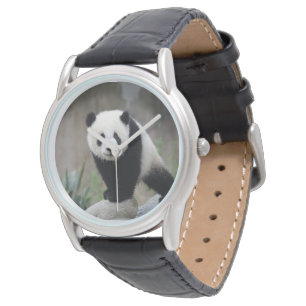 Cutest Baby Animals   Giant Panda Baby Watch