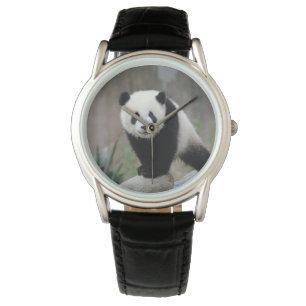 Cutest Baby Animals Giant Panda Baby Watch