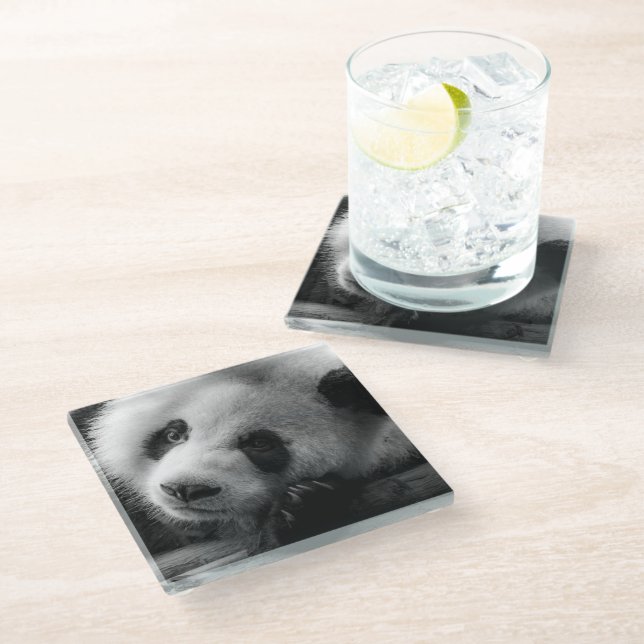 Cutest Baby Animals | Giant Panda Bear Cub Glass Coaster (Angled)